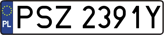 PSZ2391Y