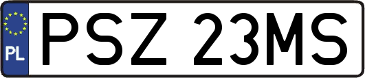 PSZ23MS