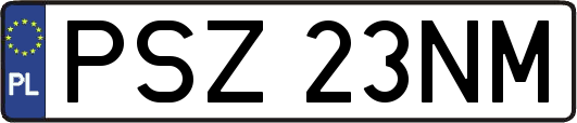 PSZ23NM
