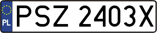 PSZ2403X