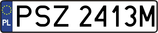 PSZ2413M