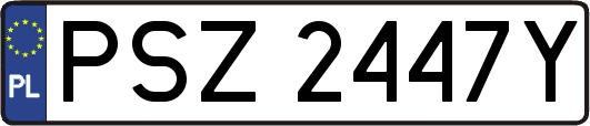 PSZ2447Y