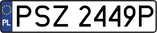 PSZ2449P