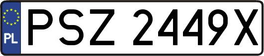 PSZ2449X