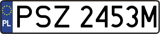 PSZ2453M