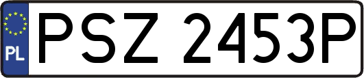 PSZ2453P