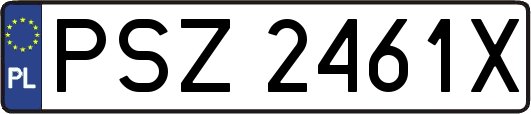PSZ2461X