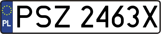 PSZ2463X