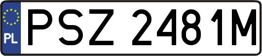 PSZ2481M