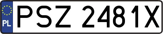 PSZ2481X