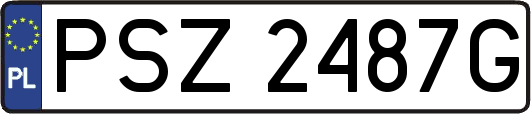 PSZ2487G