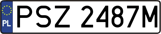 PSZ2487M