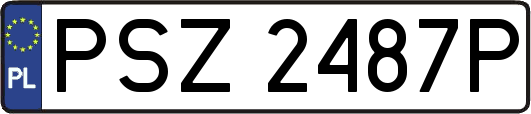 PSZ2487P