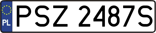 PSZ2487S
