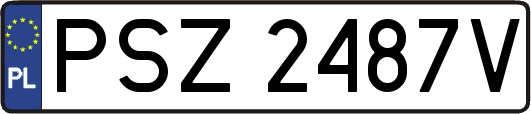 PSZ2487V