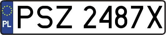 PSZ2487X