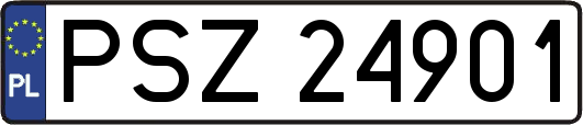 PSZ24901