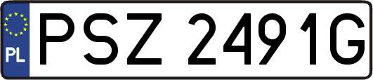 PSZ2491G