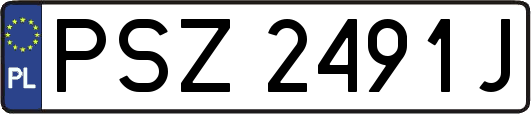 PSZ2491J