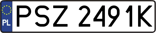 PSZ2491K