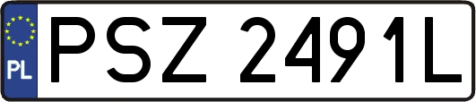 PSZ2491L
