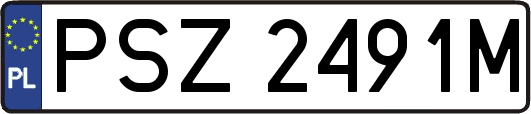 PSZ2491M