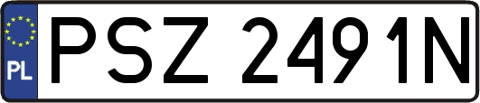PSZ2491N