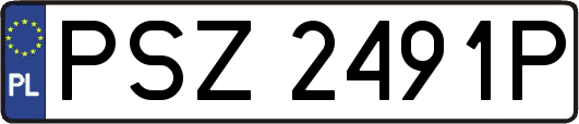 PSZ2491P
