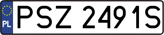 PSZ2491S