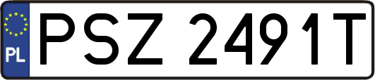 PSZ2491T