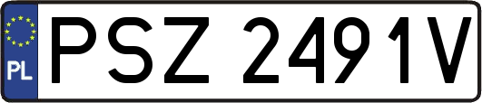 PSZ2491V