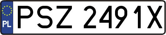 PSZ2491X
