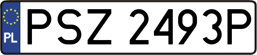 PSZ2493P