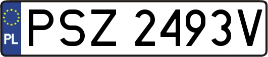 PSZ2493V