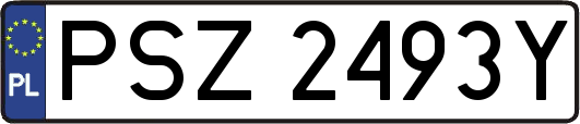 PSZ2493Y
