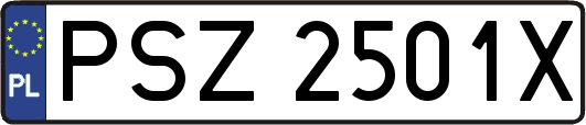 PSZ2501X