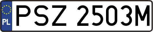 PSZ2503M