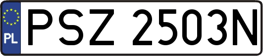PSZ2503N