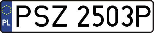 PSZ2503P
