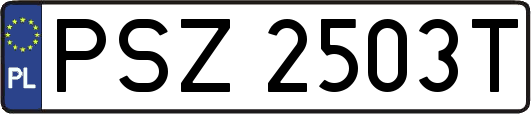 PSZ2503T