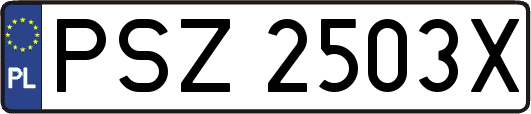 PSZ2503X