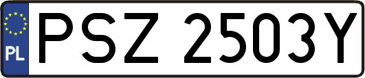 PSZ2503Y