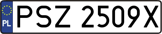 PSZ2509X