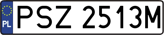 PSZ2513M
