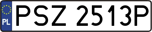PSZ2513P
