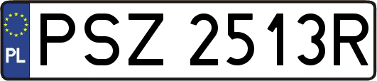 PSZ2513R