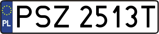 PSZ2513T