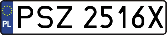 PSZ2516X