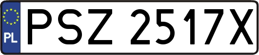 PSZ2517X