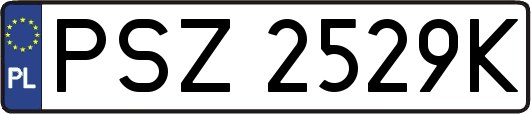 PSZ2529K